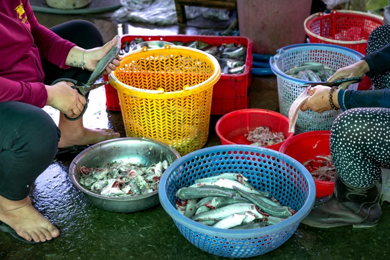 several people at a fish market preparing to fill their buckets