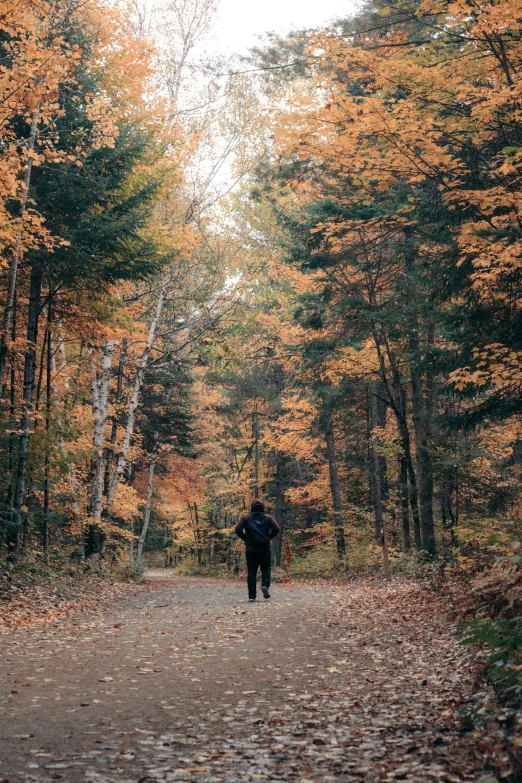 a man is walking down the road in a wooded area