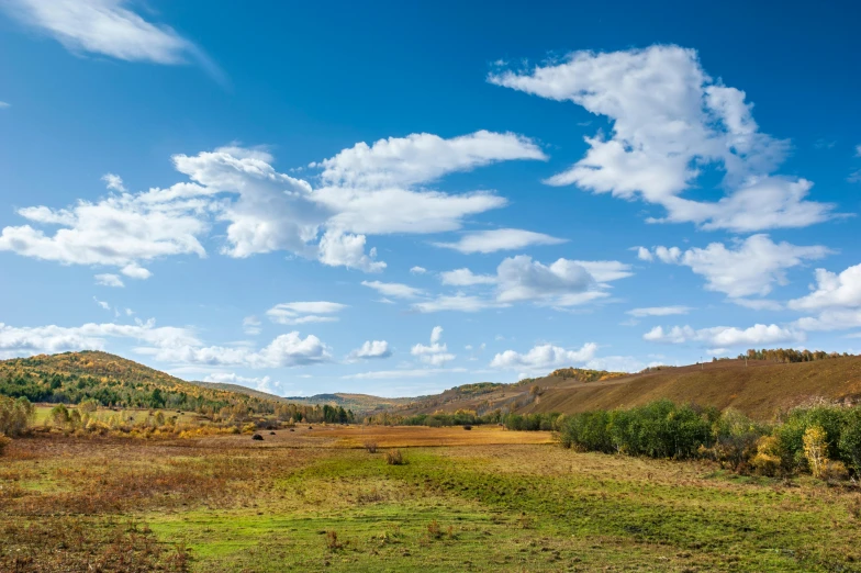 the road is winding through an open grassy plain