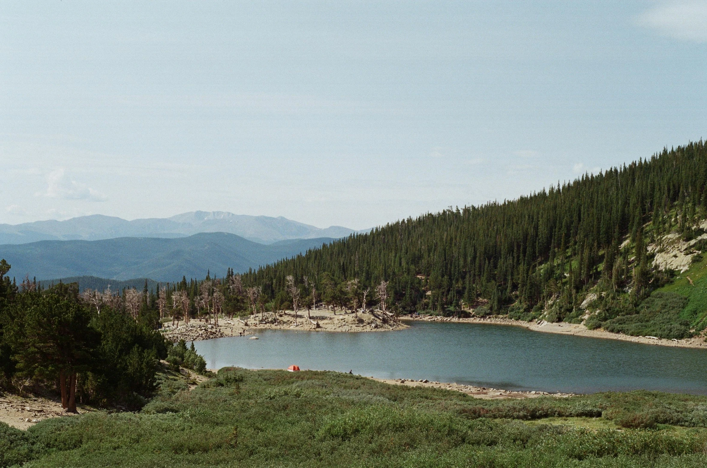 the water is surrounded by many trees