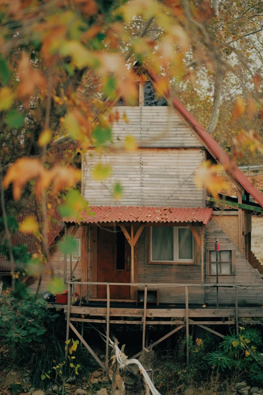 a rustic home surrounded by leaves in autumn