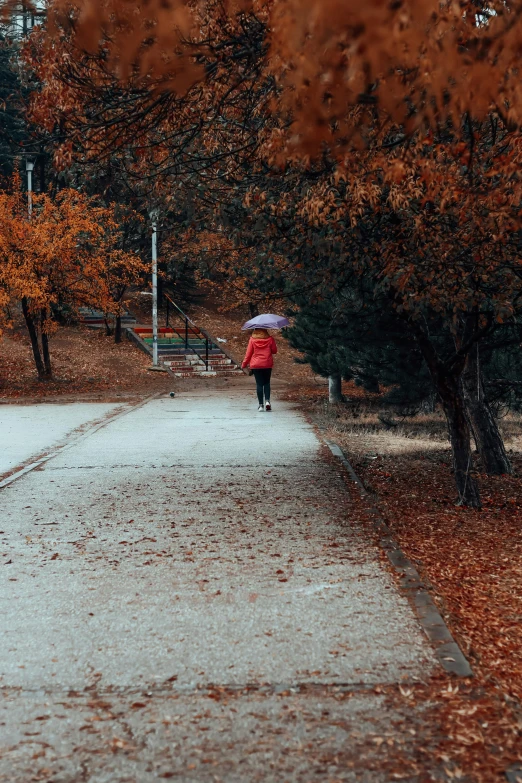 a woman walking down a street in a park under a umbrella