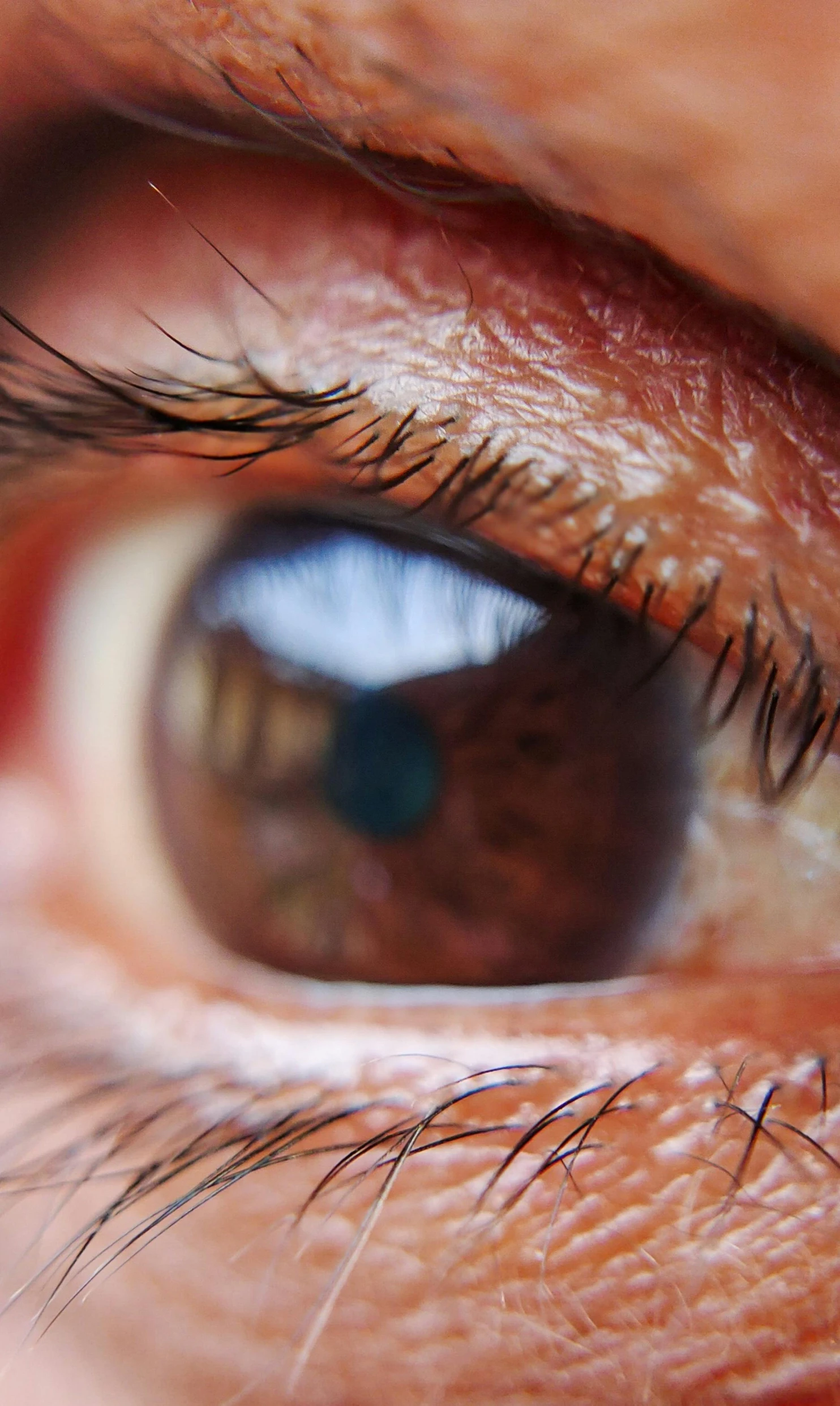 an extreme closeup of the iris of a brown persons eye