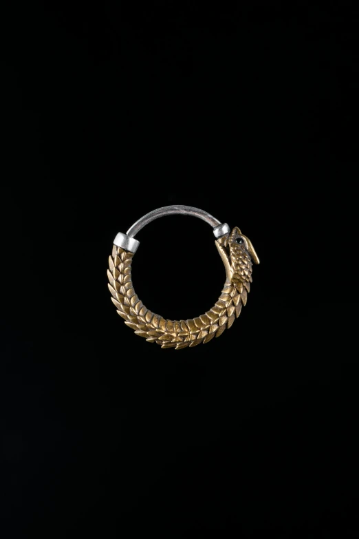 an unusual hoop earring from gold jewellery