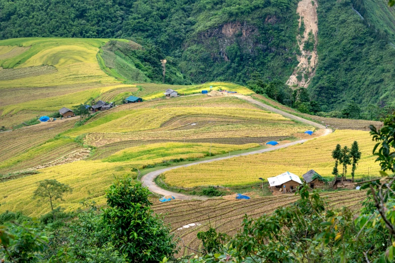 a hilly countryside with a winding dirt road