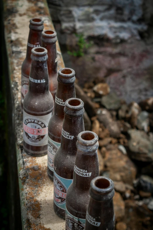 several old brown beer bottles line a path