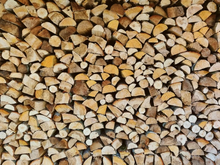 this is a close up picture of logs