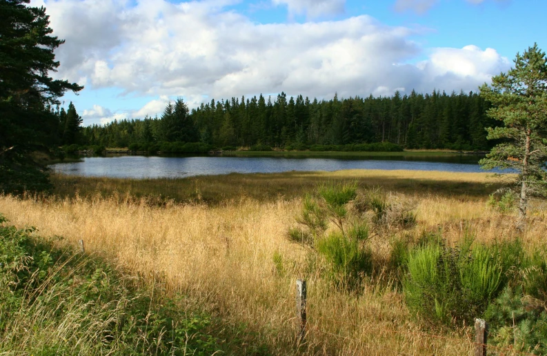 there is a beautiful, small lake next to the field