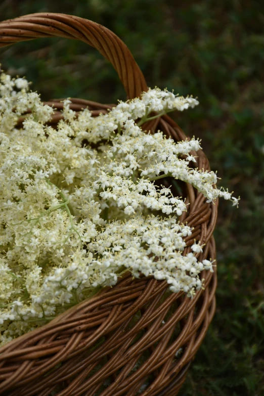 a basket with white flowers next to grass