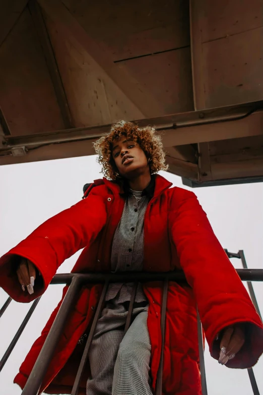 a woman standing on the top of a ladder