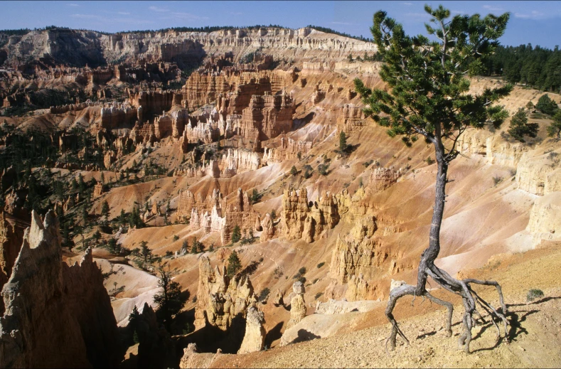 a lone tree stands on the edge of an overlook in the valley