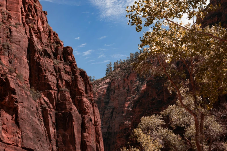 some very large steep mountains by some trees