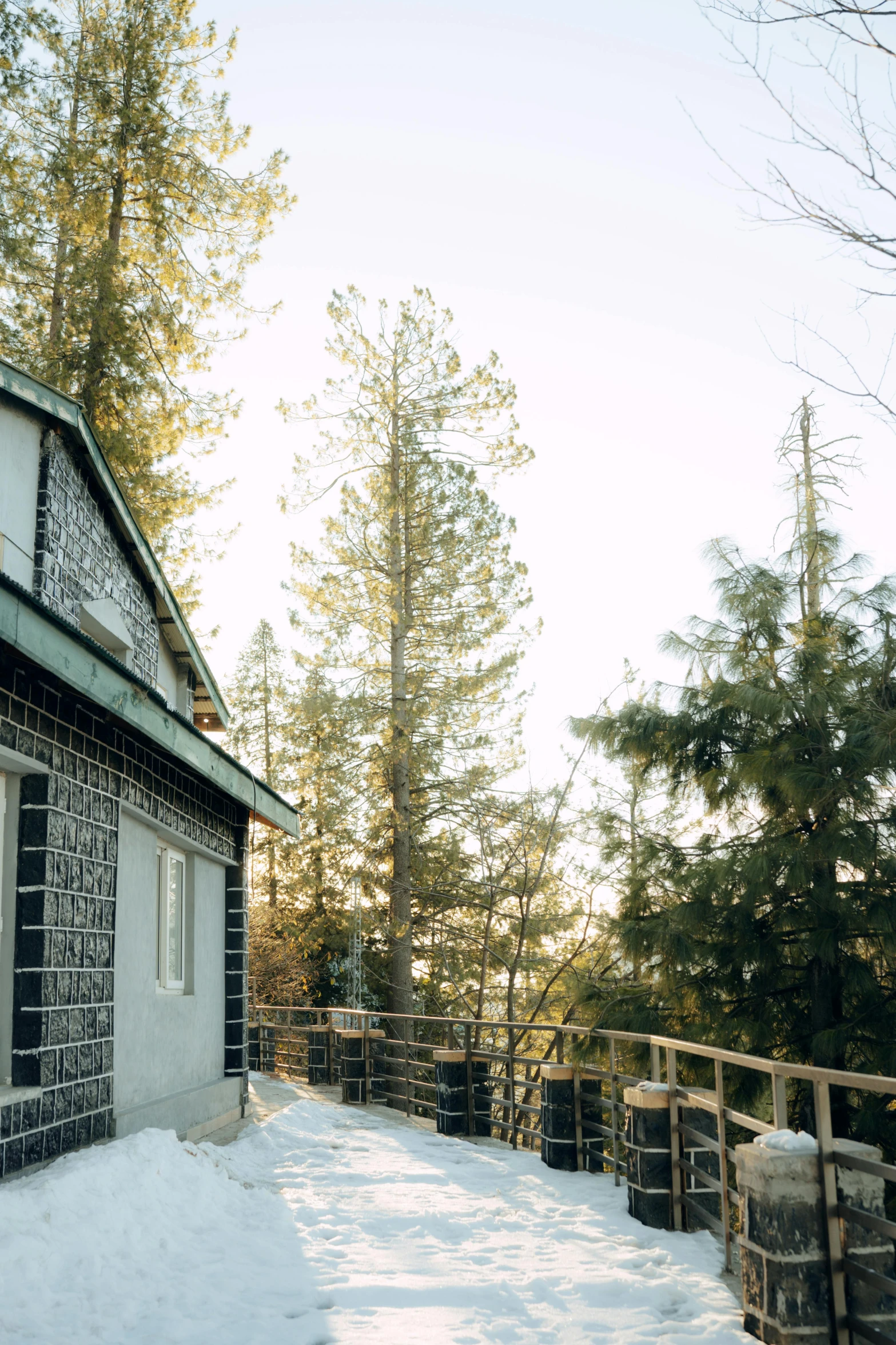 the cabin is located at the end of the road