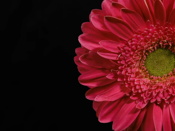 a big flower with a green center sitting in the middle of the table