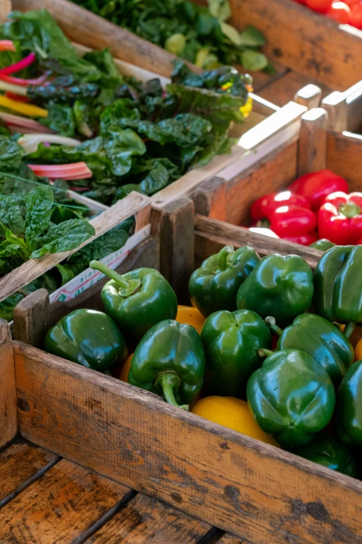 vegetables sit in small wooden boxes on a table