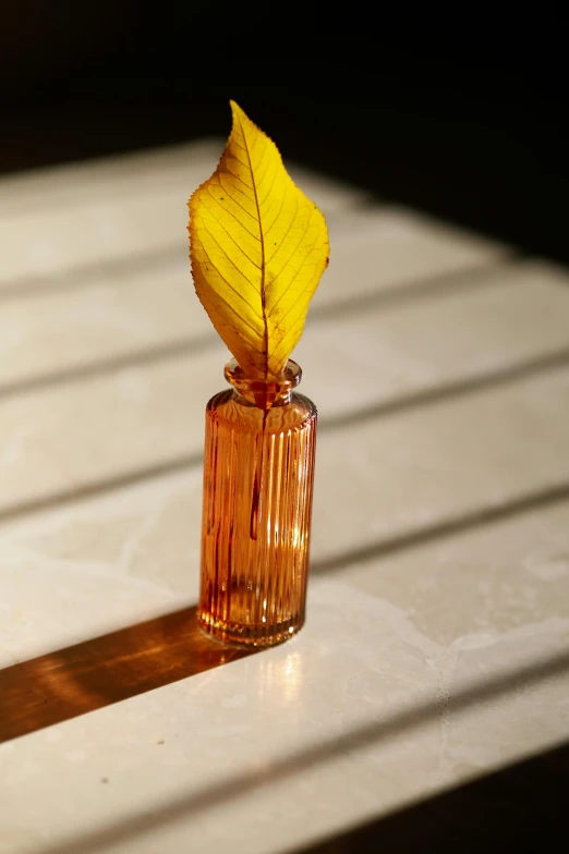 a yellow leaf sits in a glass vase