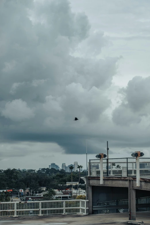 airplane flying over bridge with city skyline in the background