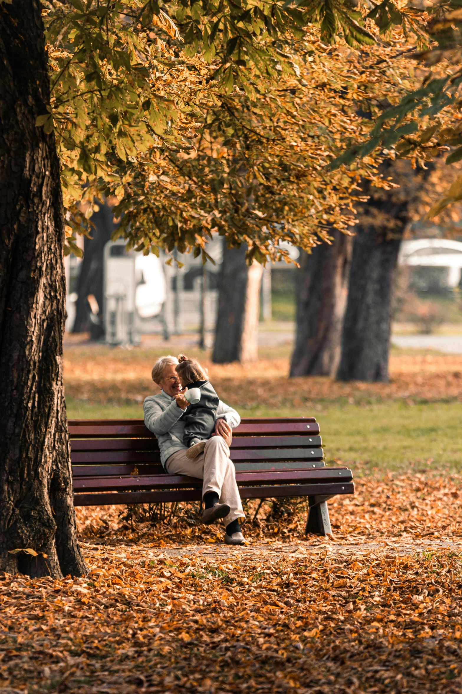 a man is sitting on a bench with his back to the camera