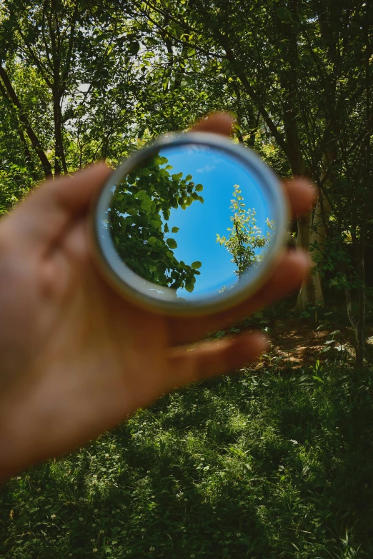 the person holds up a camera lens near a wooded area