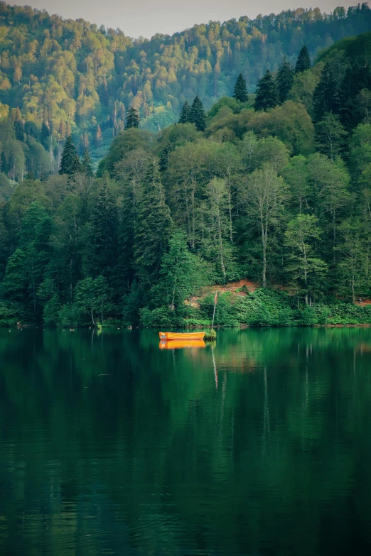 a canoe is docked on the lake near a forested area