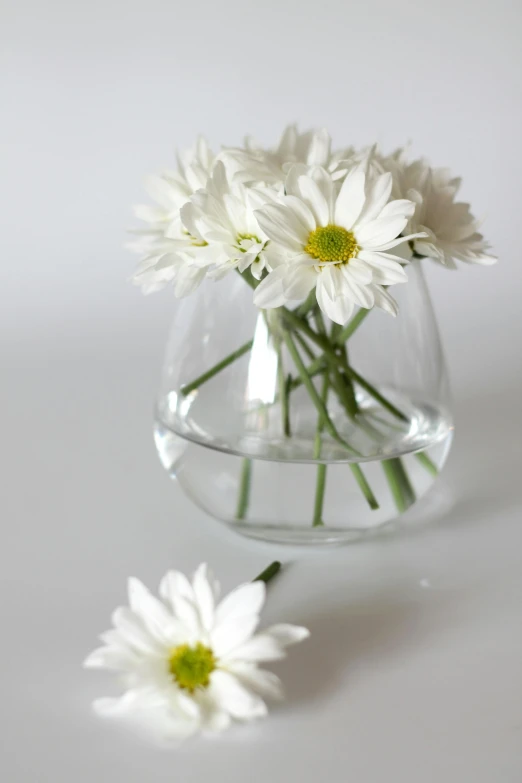 a vase with water and flowers floating in it