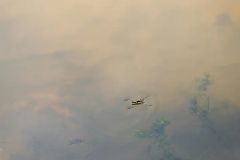 a helicopter flying over some low lying clouds