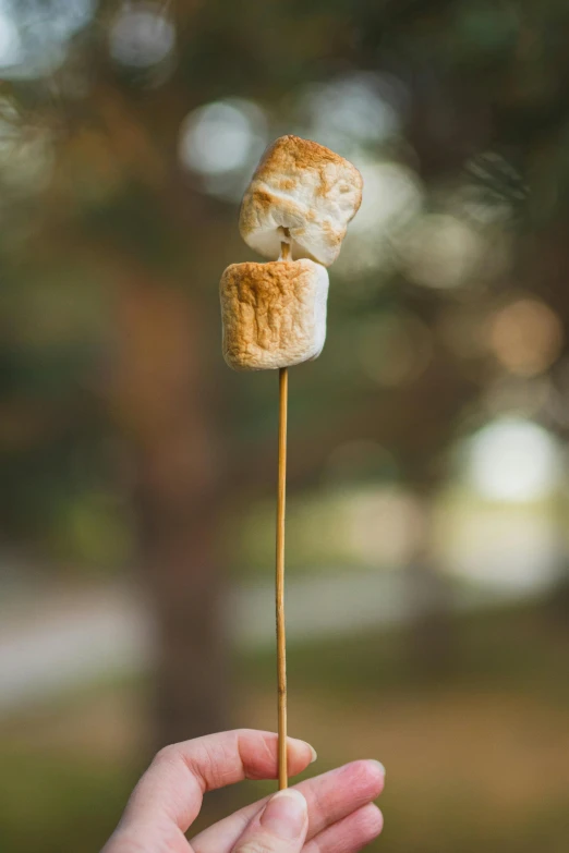 a hand holding a piece of bread covered with marshmallows