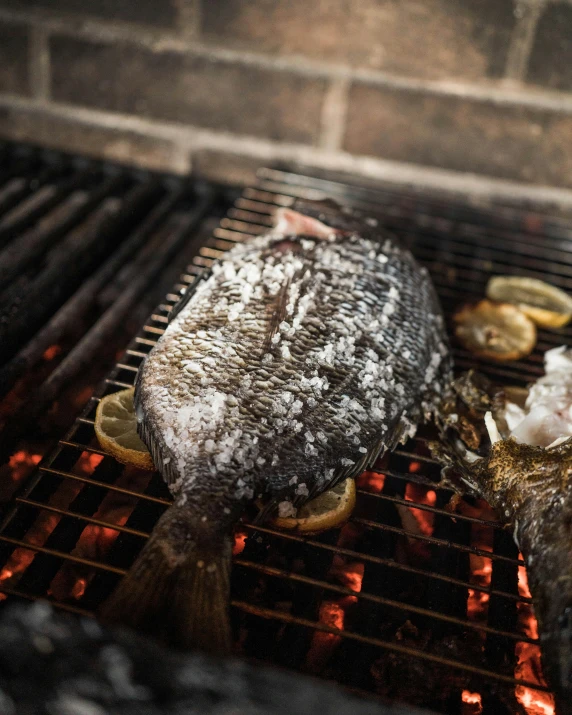 a raw fish being grilled on an open fire grill