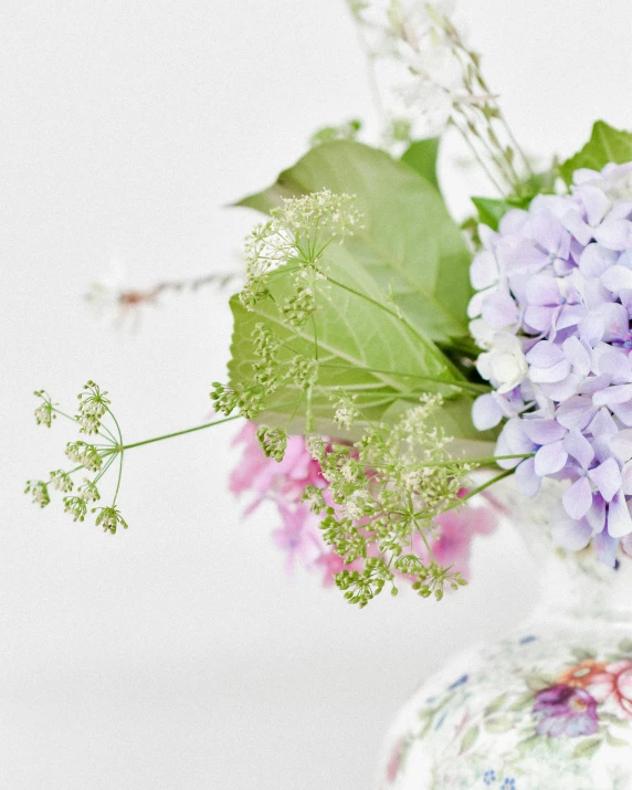 a purple and green flower is in a vase