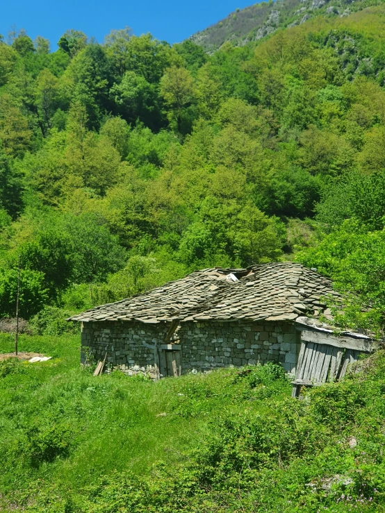 an old dilapidated building surrounded by green trees