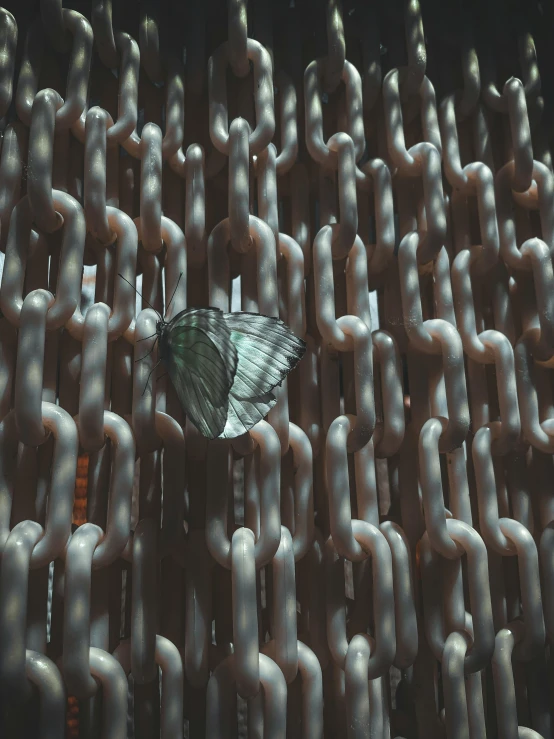 a white erfly sitting on top of a bunch of silver links