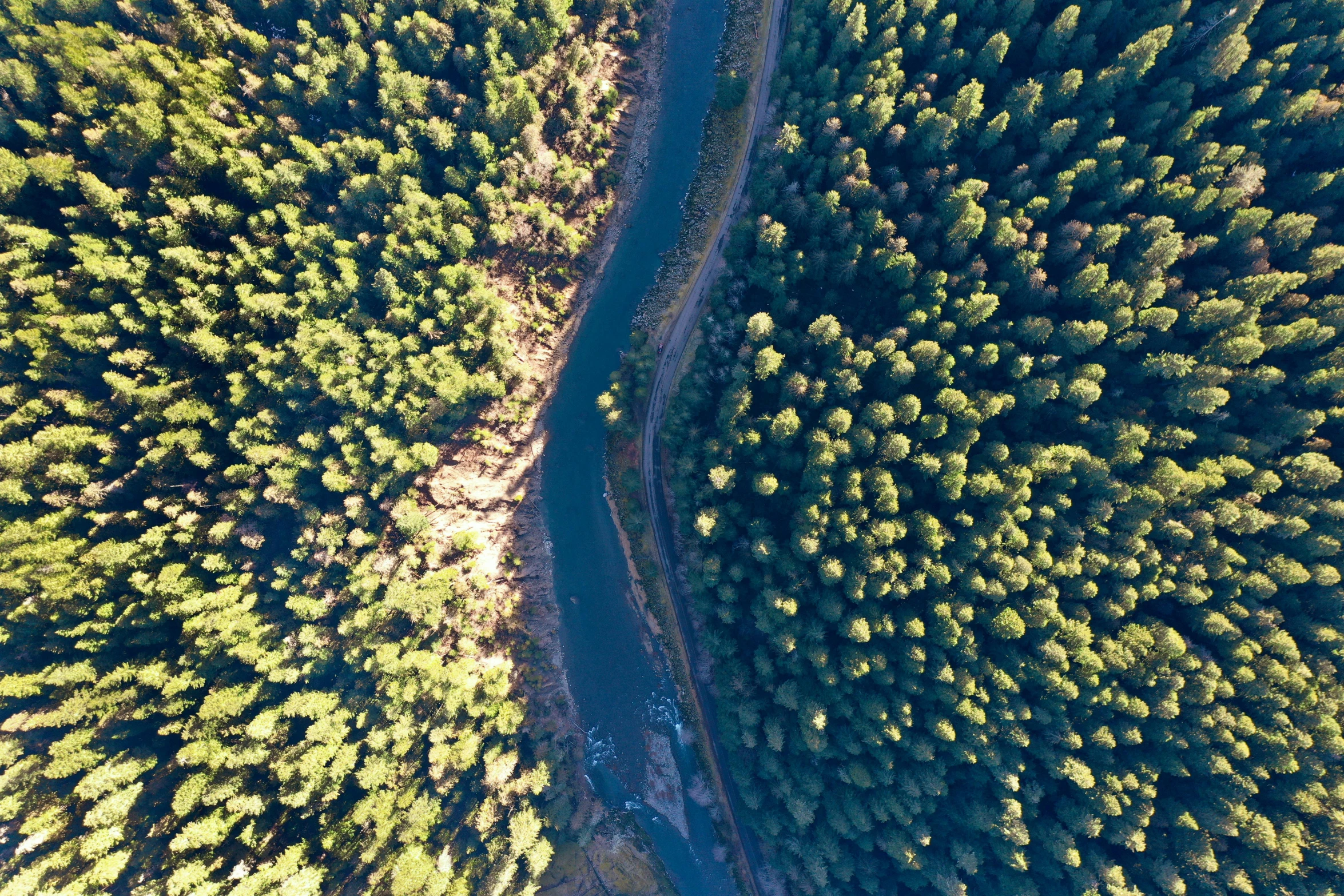 an aerial view of a green area with trees