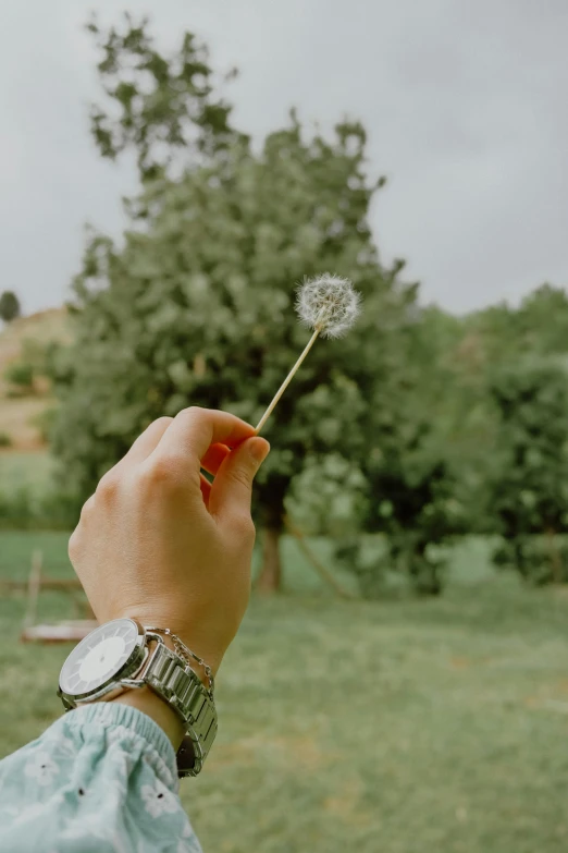 a person's hand holding a dandelion in front of a green field