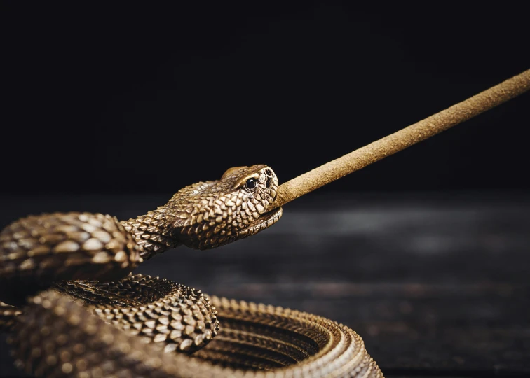 an ornate gold snake's head sits on a rope