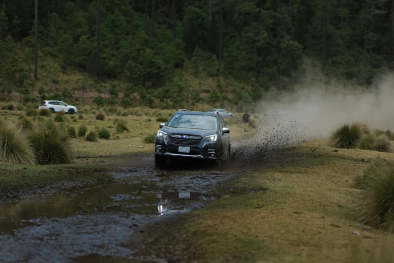 an suv driving through a swampy area on a dirt road