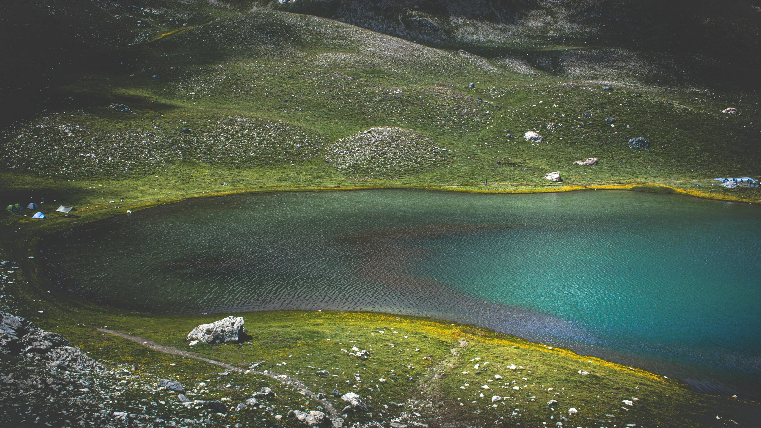 there is a sheep by the lake