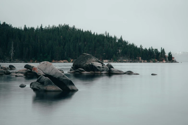 rocky shoreline and pine - lined hill during gray morning