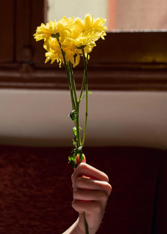 a person holding flowers with their hand