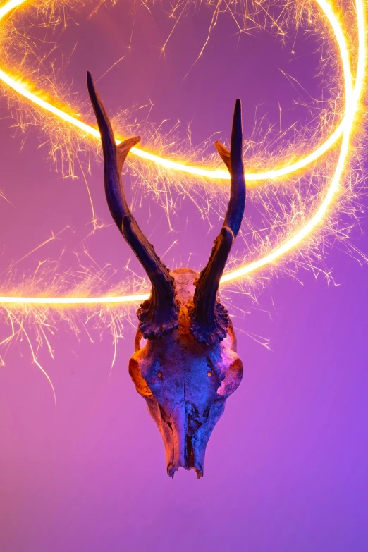 a deer skull with large horns that is lit up
