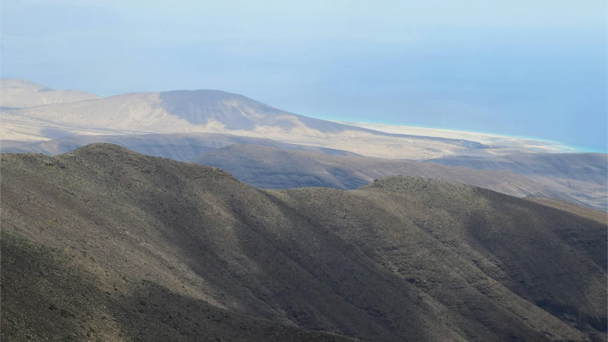 a bird sits on a nch overlooking some mountains