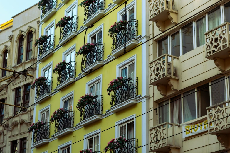 many windows on this building with flowers in them