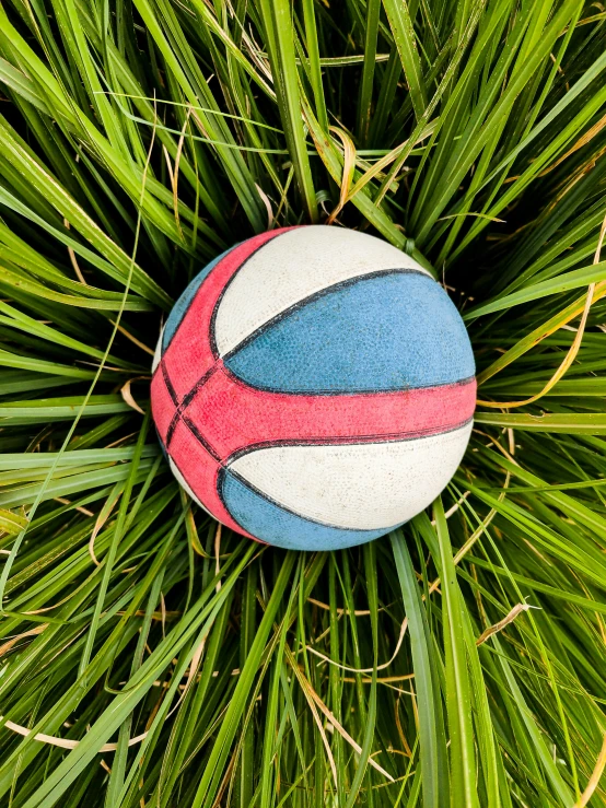 an image of a ball in the grass