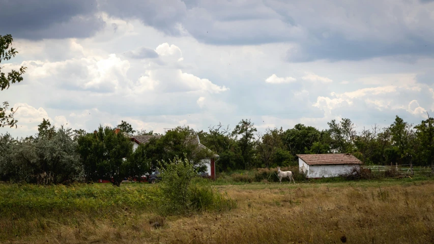 a barn sits in an open grassy field