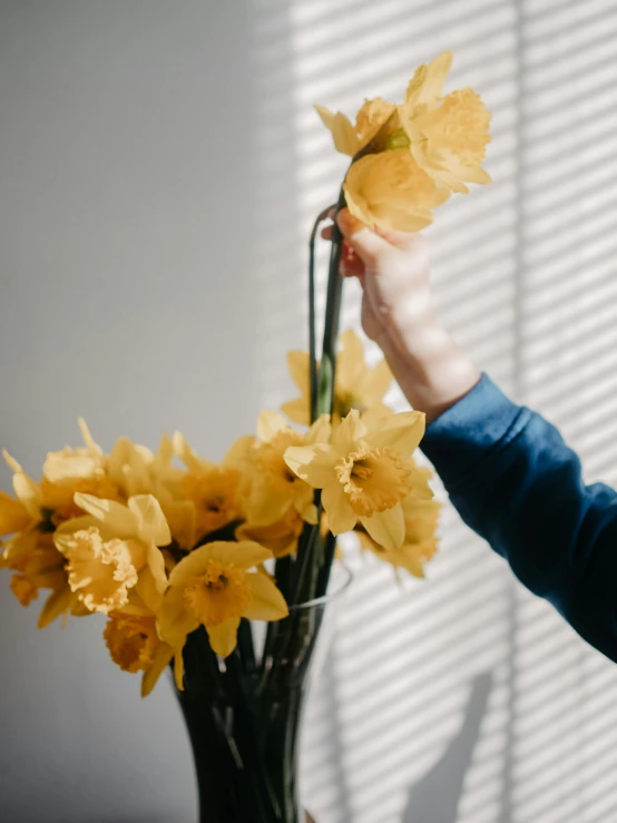 a close up of a person holding a bouquet of flowers