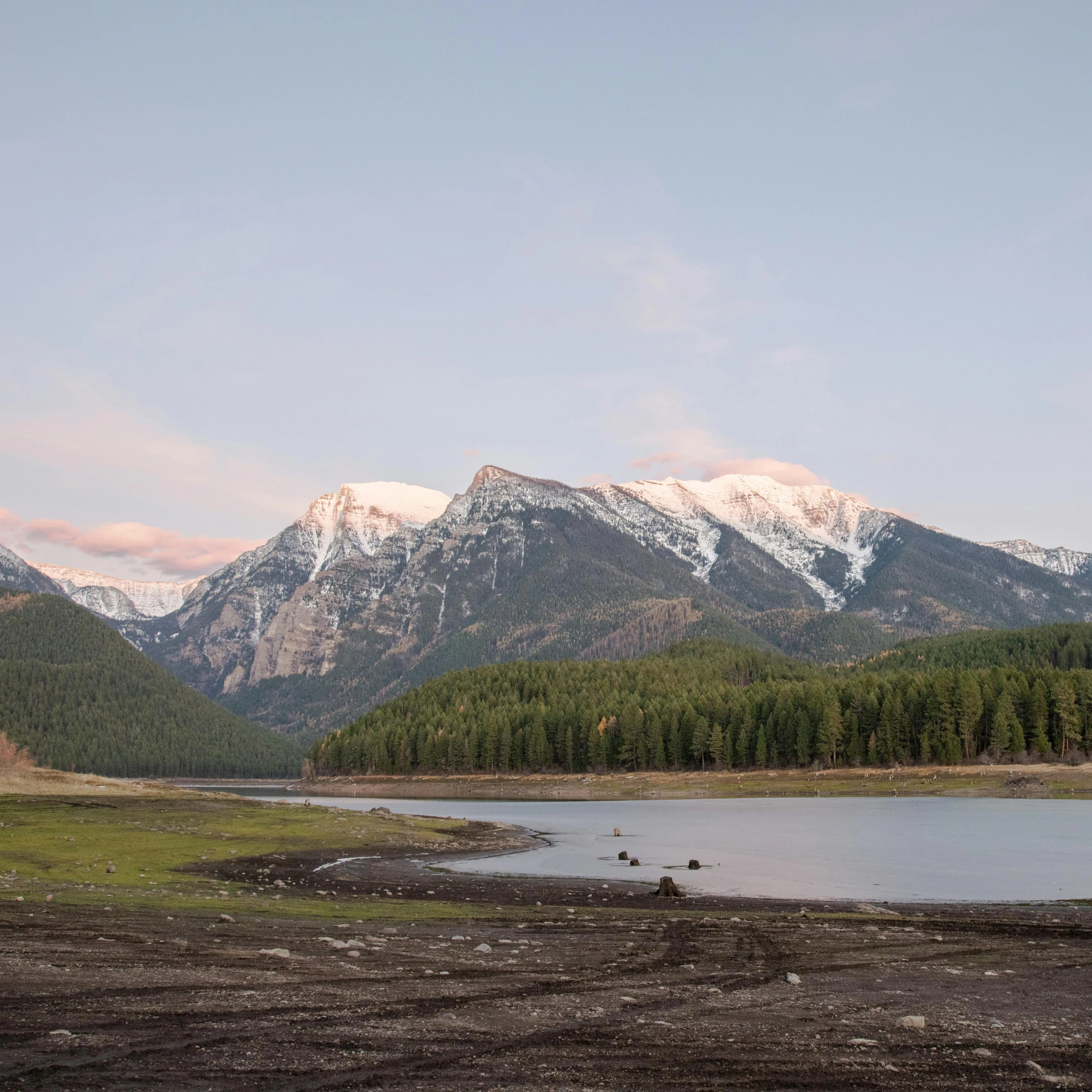 a body of water surrounded by a forest