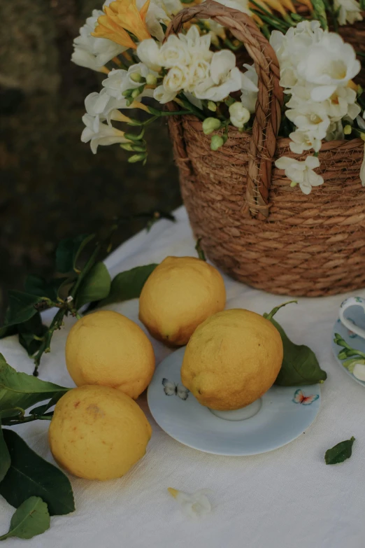 three lemons in the foreground are on a plate and near white flowers