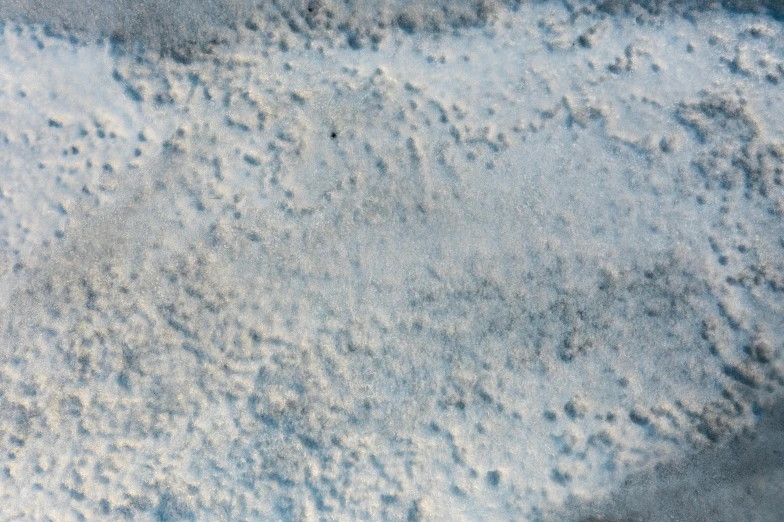 birds tracks are visible as they snow in the middle of the desert