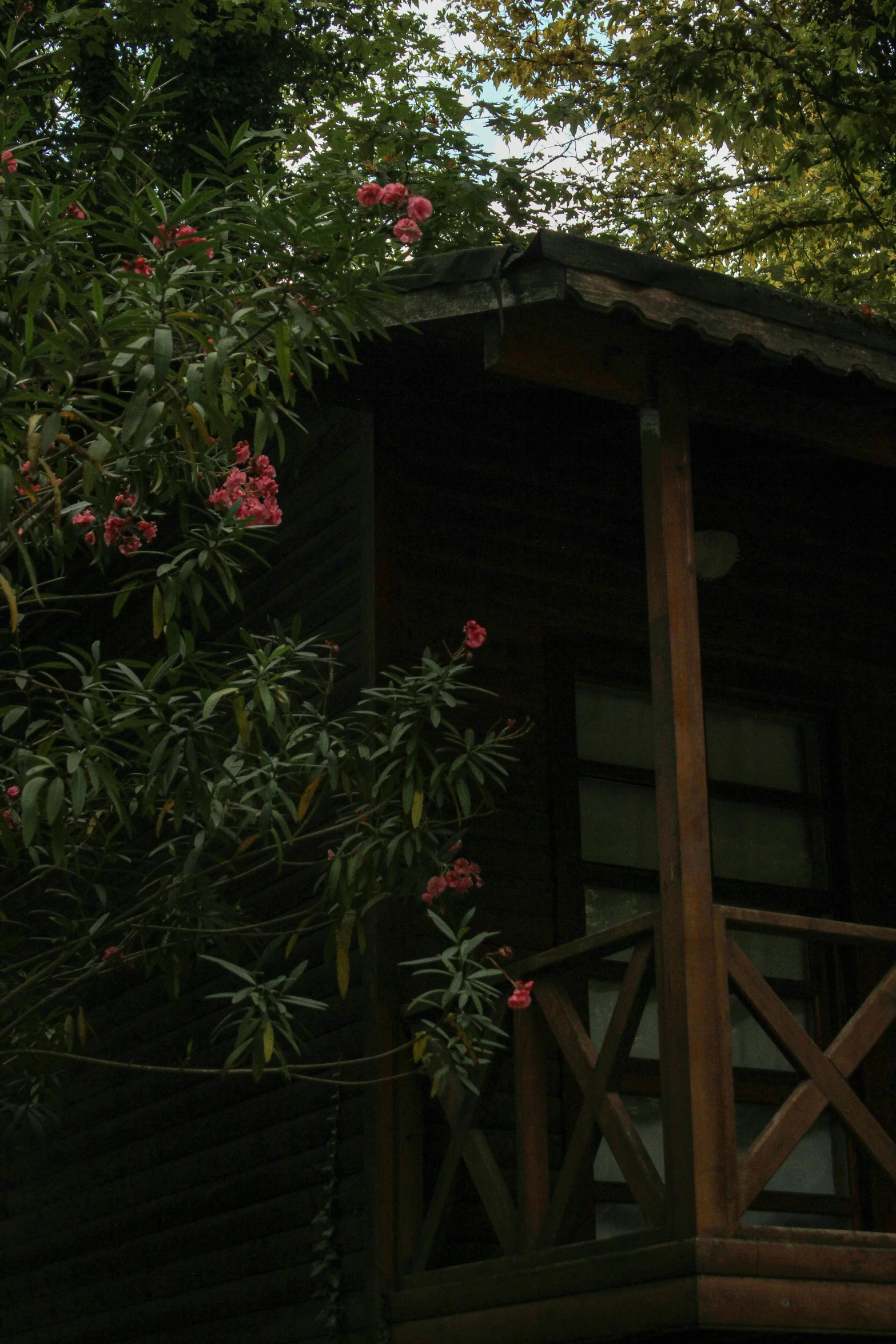 the tree house is nestled by the trees