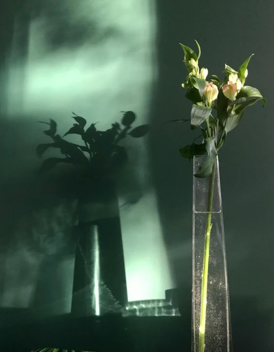 three flowers sitting in a vase with some water