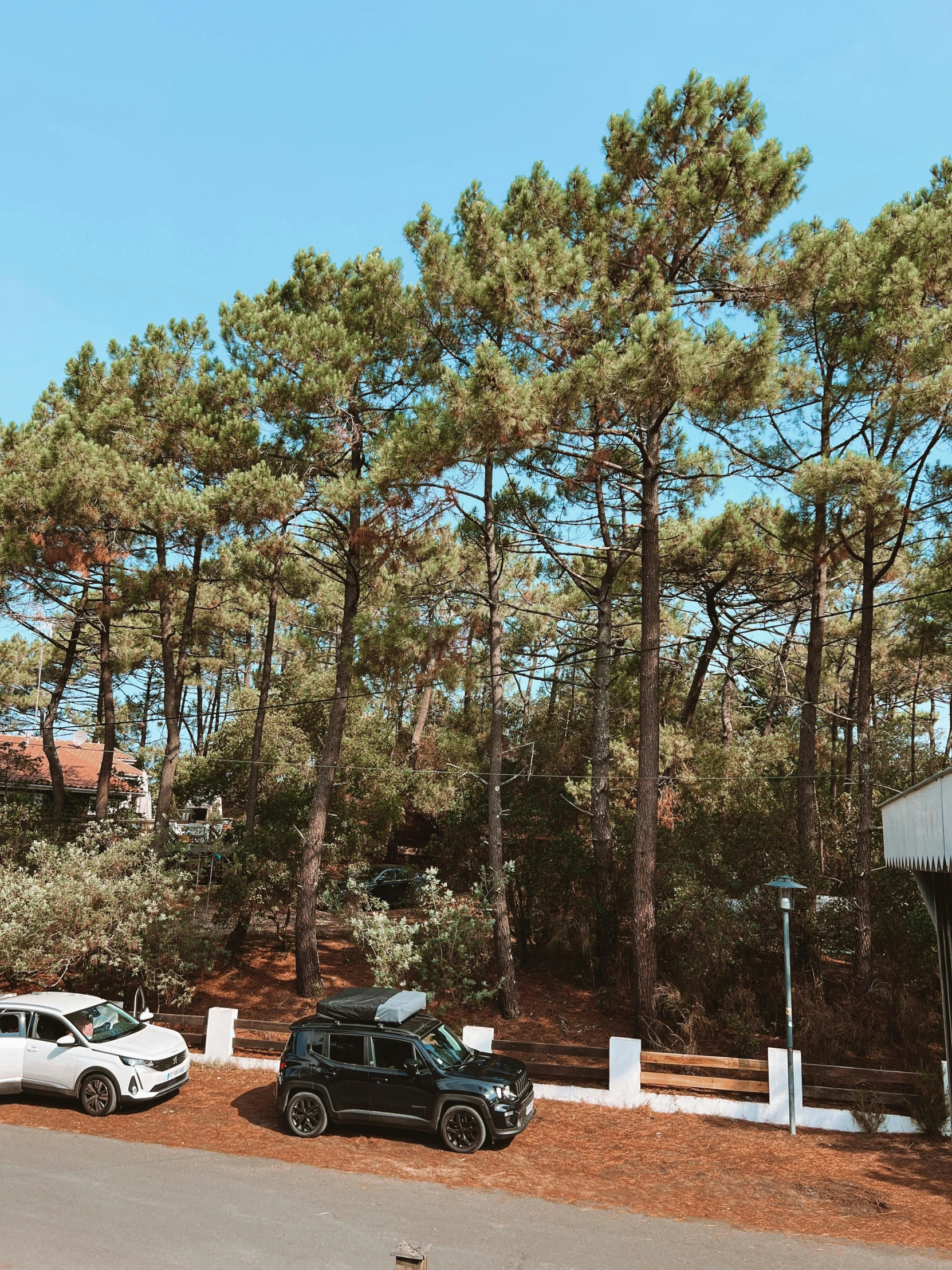 two vehicles are parked in a parking lot